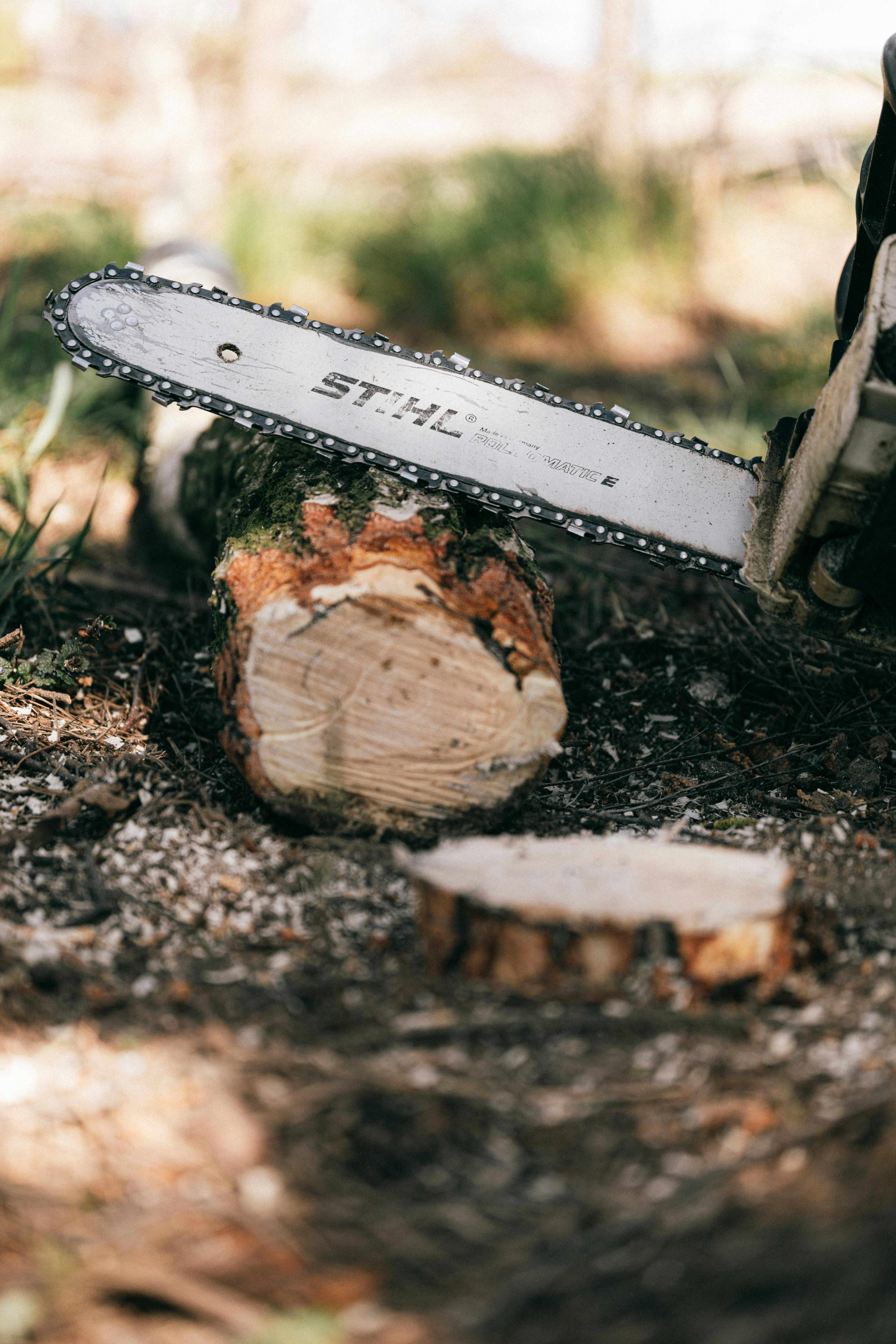 Stihl Akku Kettensäge Wartung