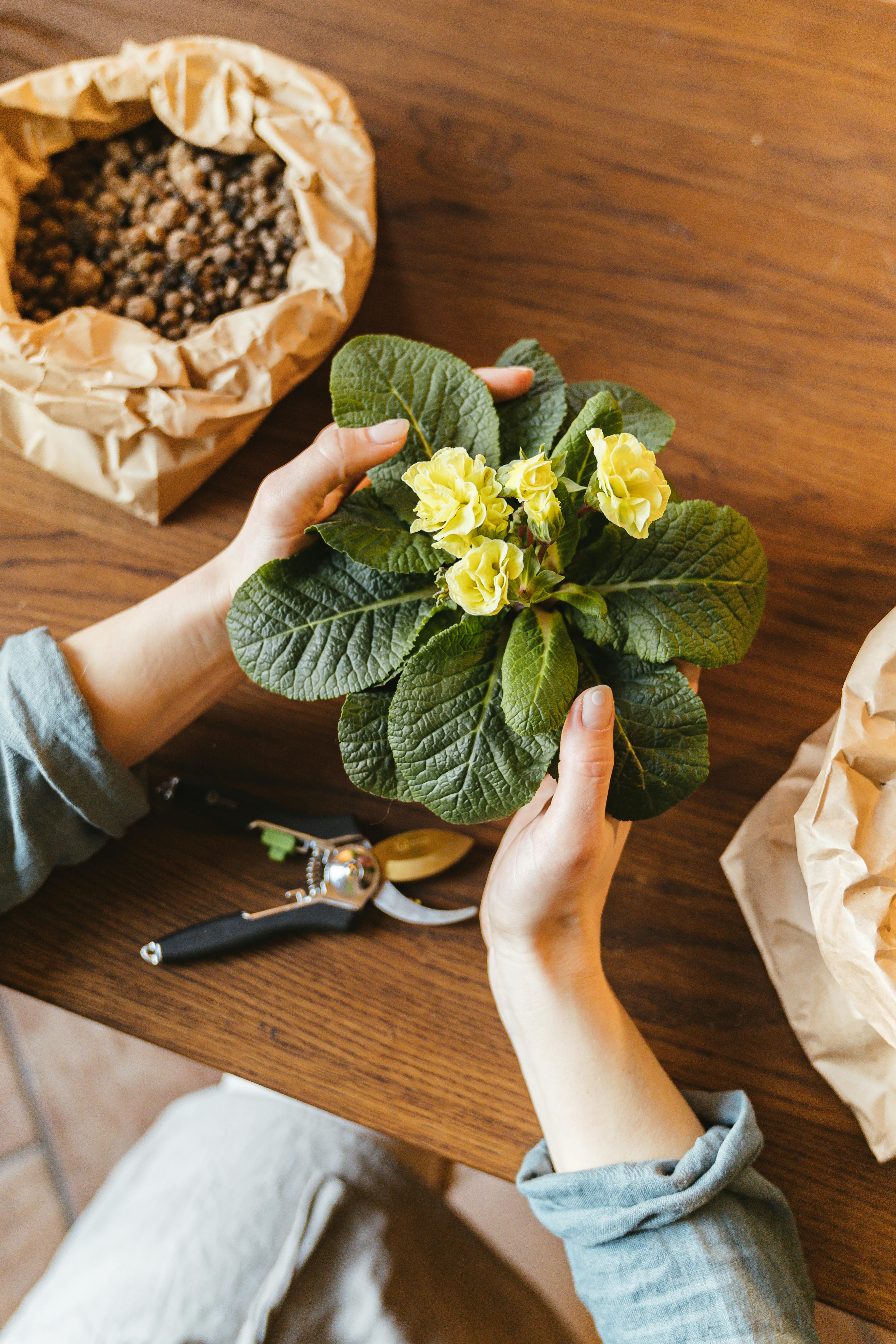 Gestaltungsideen für den Garten